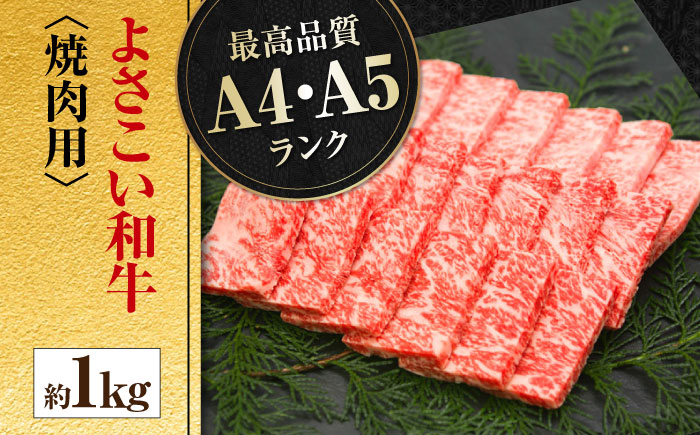 高知県産 よさこい和牛 焼肉用 約1kg 牛肉 国産 焼き肉 BBQ A4 A5  [ATAP064]