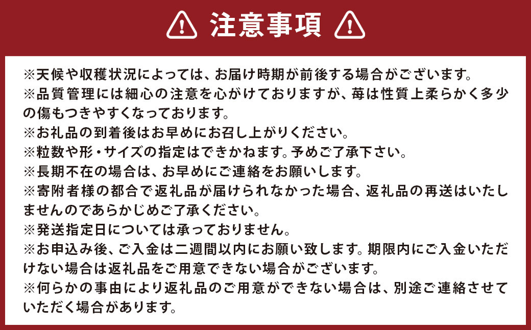 【4回定期便】 特別栽培の 濃厚 完熟 あまおう 約1kg 約250g×4パック