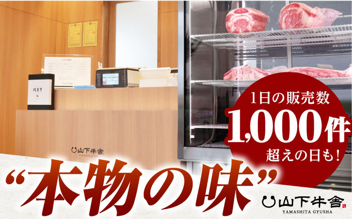 佐賀牛 切り落とし 500g  ( 250g×2パック ) 【山下牛舎】 [HAD152]