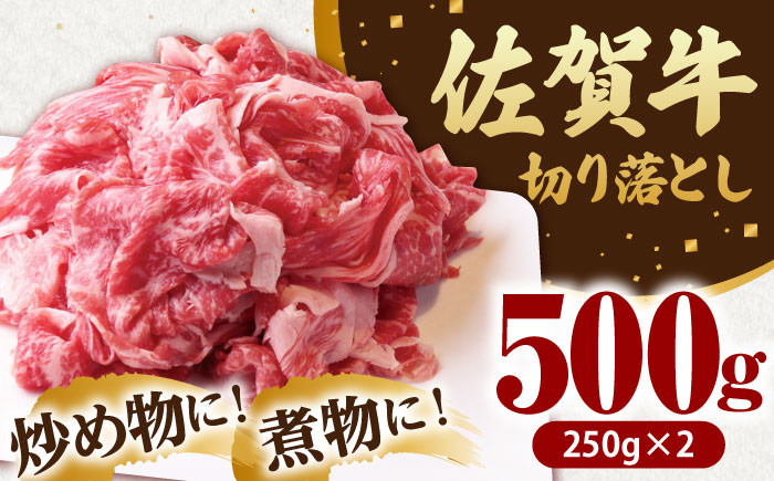 佐賀牛 切り落とし 500g  ( 250g×2パック ) 【山下牛舎】 [HAD152]
