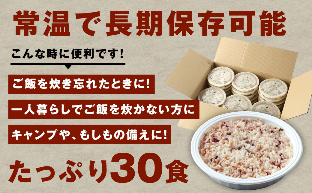 【定期便8ヶ月】阿蘇だわら 十六雑穀ごはん パックライス 160g×30パック