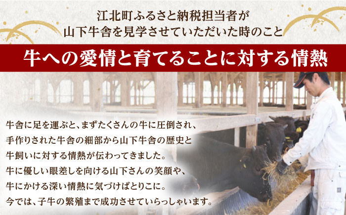 佐賀牛 切り落とし 500g  ( 250g×2パック ) 【山下牛舎】 [HAD152]