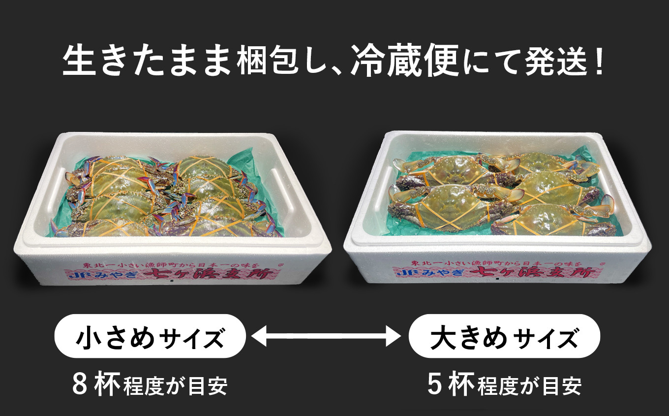 発泡スチロールに氷を敷き、生きたままのワタリガニを梱包。冷蔵便にて発送いたします。