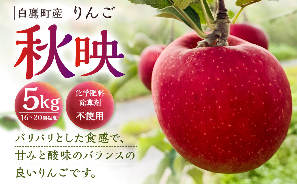 白鷹町産りんご （秋映） 5kg