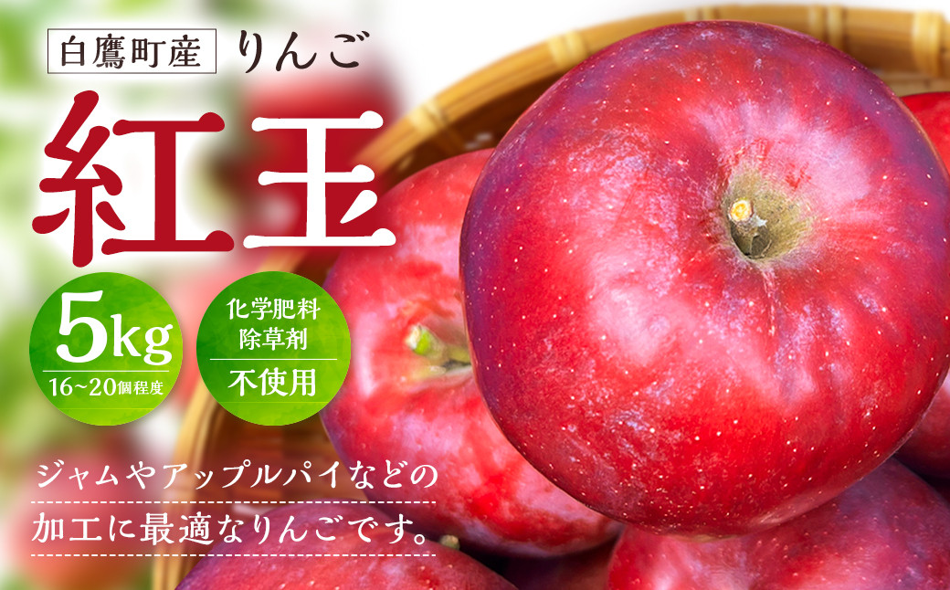 白鷹町産りんご （紅玉） 5kg