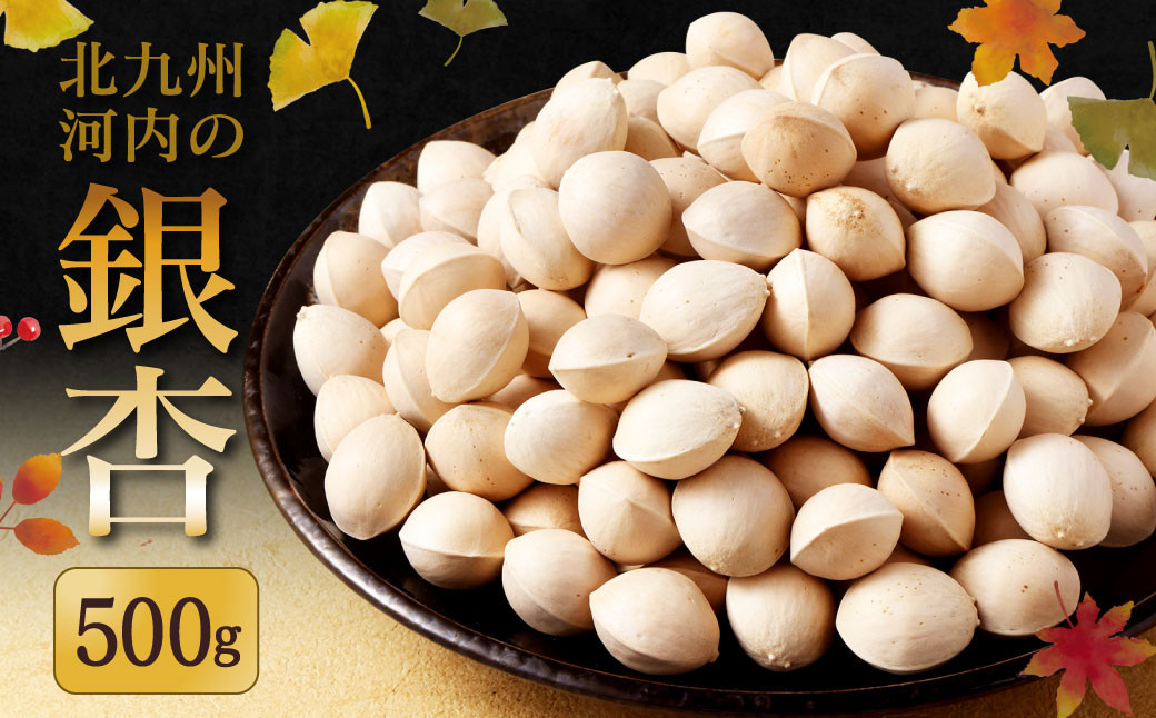 北九州河内の銀杏 500g