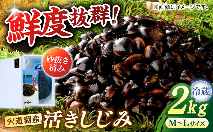 蜆 しじみ シジミ 宍道湖 魚介類 海鮮 貝 しじみ汁 産地直送 新鮮 松江