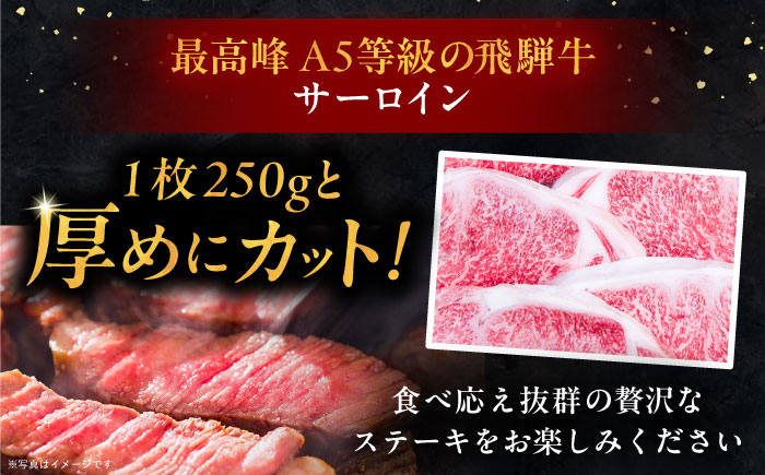 飛騨牛 牛肉 和牛 お肉 国産 ステーキ 焼肉 BBQ サーロインステーキ 贈答 ギフト おすすめ 人気 岐阜県 恵那市