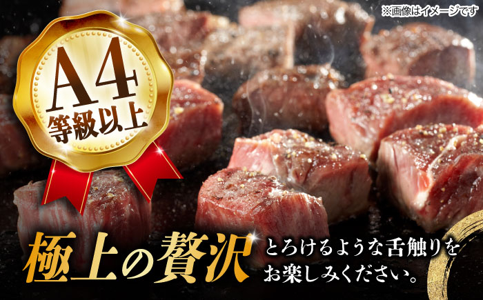 3回 定期便 飛騨牛 サイコロステーキ 部位 おまかせ 1kg