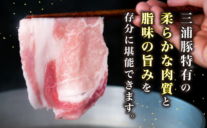 豚肉 三浦豚 ブランド豚 国産 岐阜県産 ポーク ロース しゃぶしゃぶ 薄切り 贈答 ギフト おすすめ 人気 岐阜県 恵那市