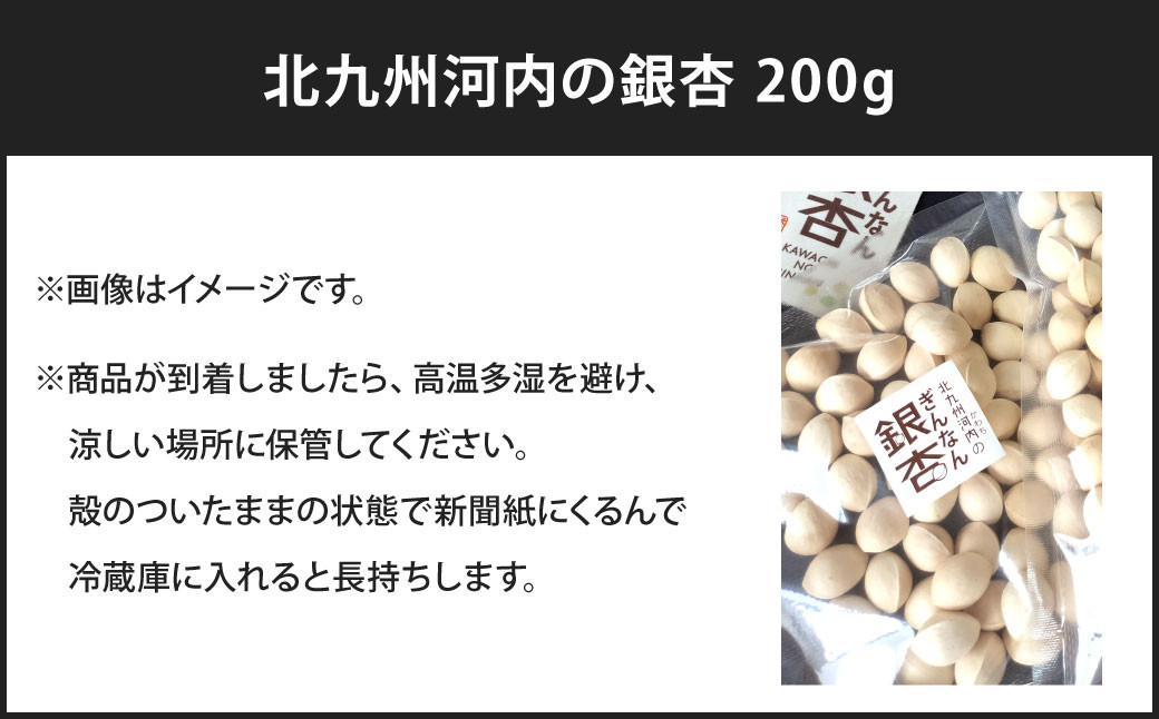 北九州河内 銀杏 200g
