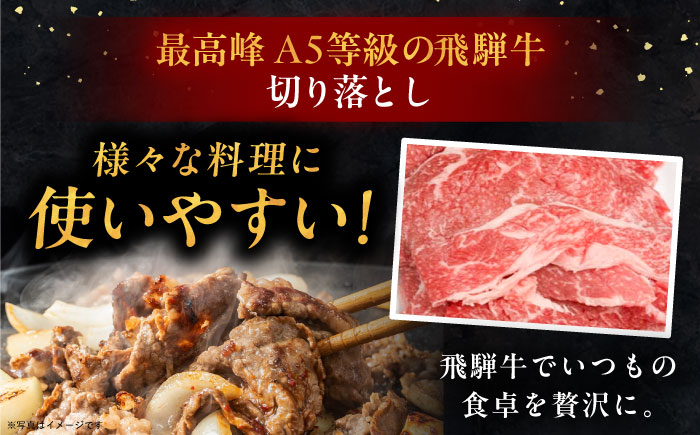 飛騨牛 牛肉 和牛 お肉 国産 焼肉 BBQ ブランド牛 切り落とし A5 高級 贈答 ギフト おすすめ 人気 岐阜県 恵那市