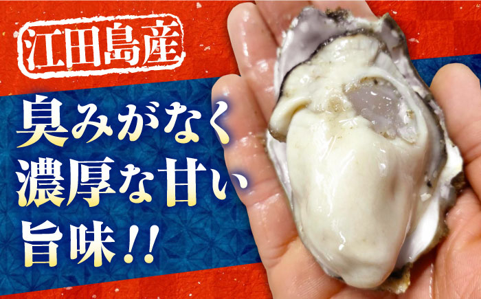 牡蠣 生食 むき身 殻付き かき カキ 生牡蠣 広島牡蠣 オイスター カキフライ