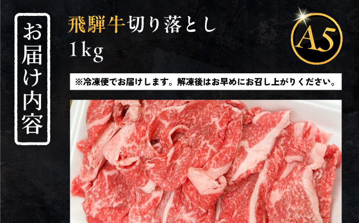 飛騨牛 牛肉 和牛 お肉 国産 焼肉 BBQ ブランド牛 切り落とし A5 高級 贈答 ギフト おすすめ 人気 岐阜県 恵那市