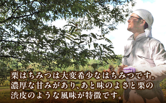 はちみつ 栗蜂蜜 国産 蜂蜜 ハチミツ 単品 健康 美容 産地直送 ご当地 朝食 贈答 ギフト おすすめ 人気 岐阜県 恵那市
