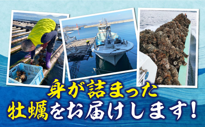 牡蠣 むき身 殻付き かき カキ 生牡蠣 広島牡蠣 オイスター カキフライ