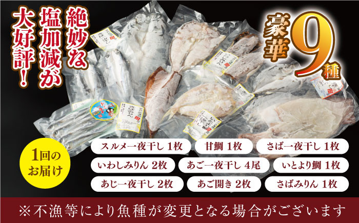 【旨味を凝縮】旬鮮平戸干物種詰合せ（×3回） 平戸市 / 森崎水産 