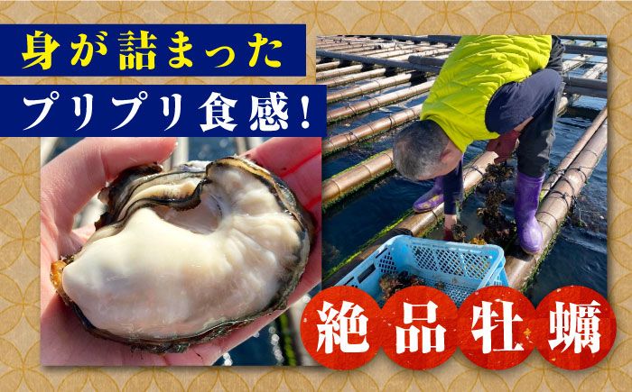 牡蠣 生食 むき身 殻付き かき カキ 生牡蠣 広島牡蠣 オイスター カキフライ
