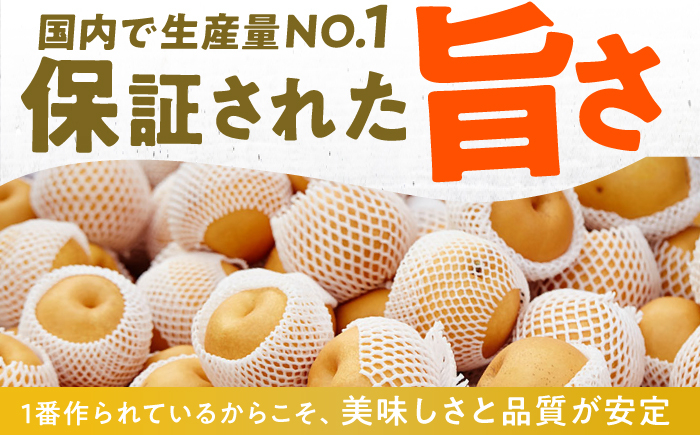 果物 梨 幸水 なし ナシ 果物