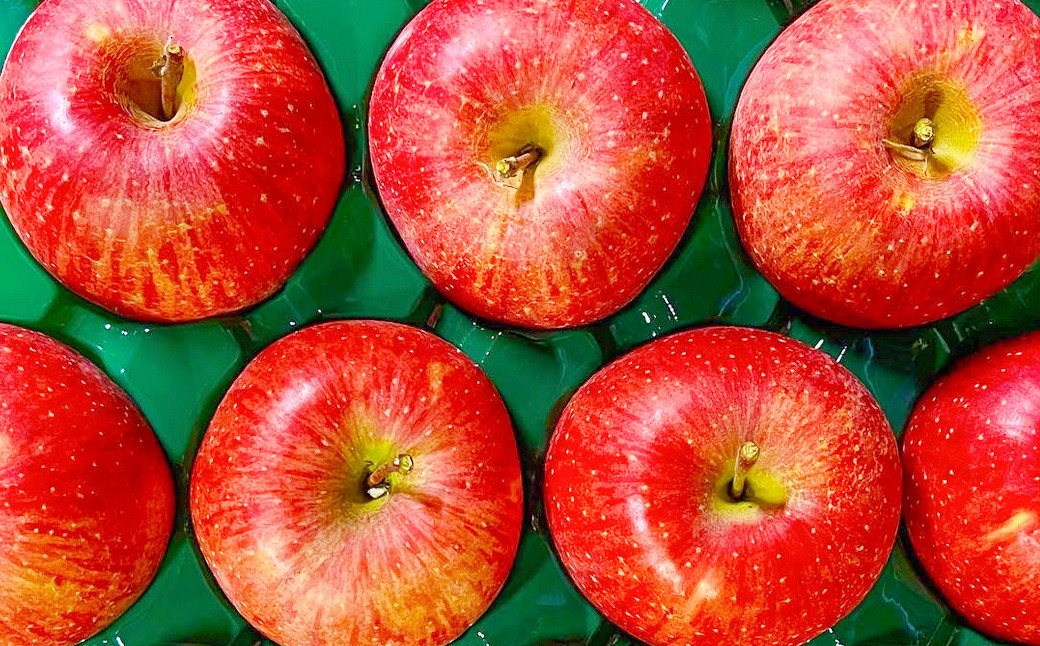 白鷹町産りんご （ふじ） 5kg