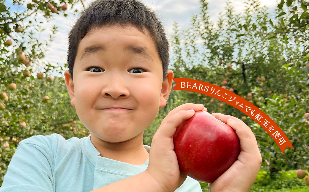 白鷹町産りんご （紅玉） 5kg