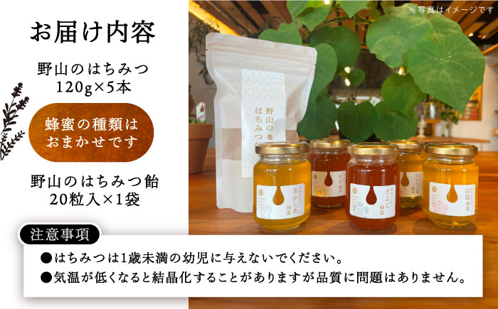 はちみつ ハチミツ 蜂蜜 セット 料理 スイーツ ギフト ヨーグルト トースト 贈答 ギフト おすすめ 人気 岐阜県 恵那市