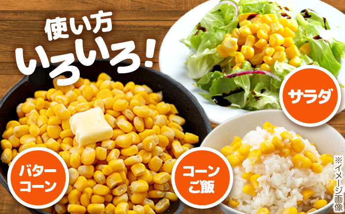 自然甘ホールコーン 12缶 コーン コーン缶 とうもろこし トウモロコシ 北海道 常温 常温配送 