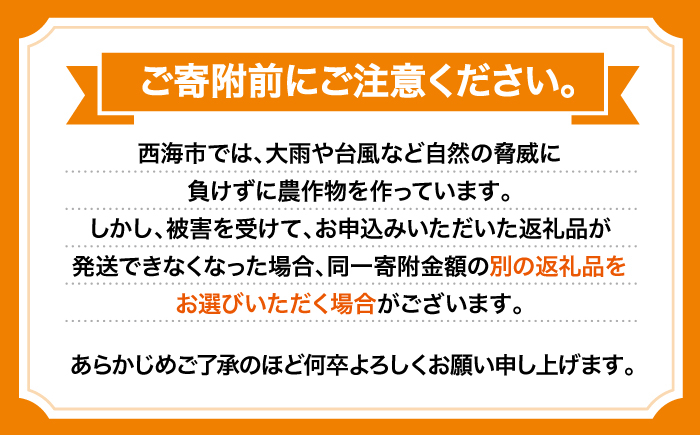 訳あり 原口 みかん 5kg みかん 傷あり ミカン