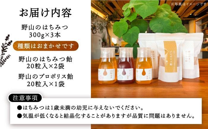 はちみつ ハチミツ 蜂蜜 セット 料理 スイーツ ギフト ヨーグルト トースト 贈答 ギフト おすすめ 人気 岐阜県 恵那市