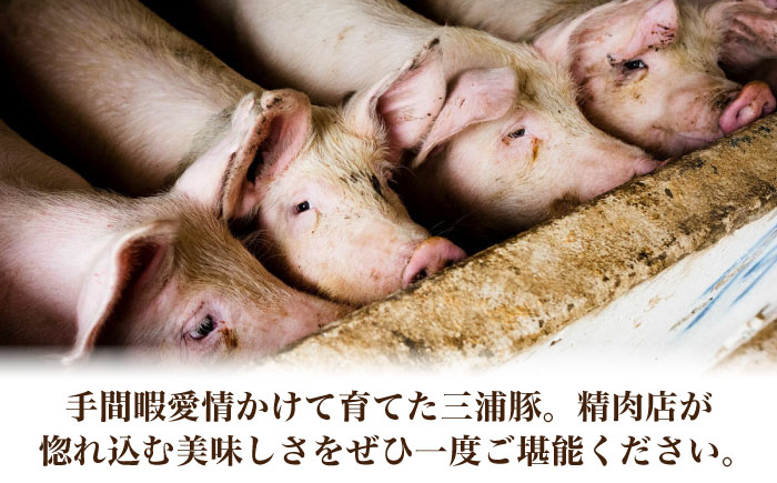 豚肉 三浦豚 ブランド豚 国産 岐阜県産 ポーク ステーキ とんかつ 厚切 贈答 ギフト おすすめ 人気 岐阜県 恵那市