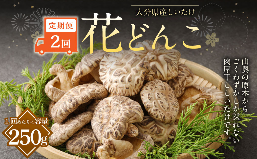 【2ヶ月定期便】大分産しいたけ花どんこ 250g 合計500g