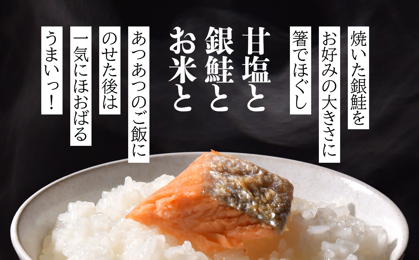 甘塩　銀鮭切り身900g