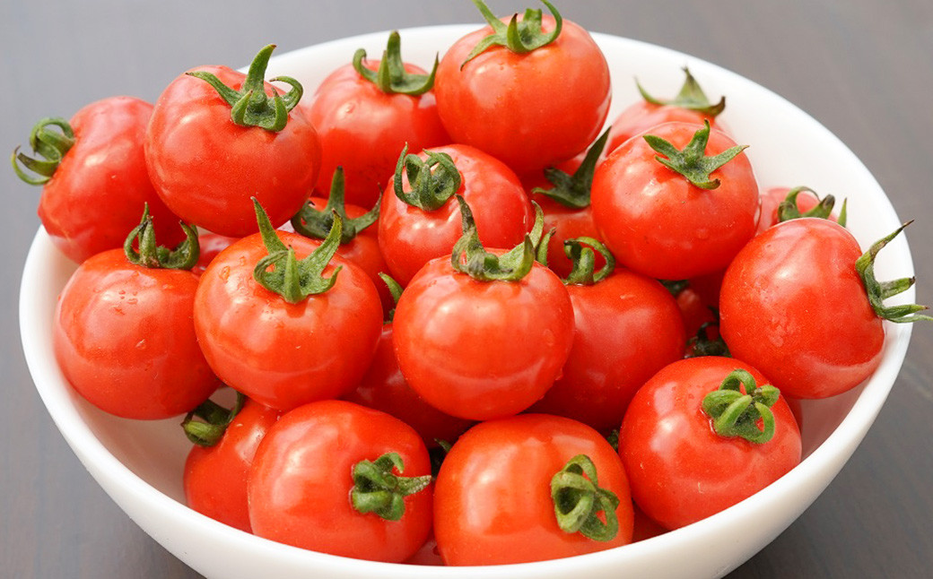 とすとすプレミアムファーム ミニトマト プチぷよ 1kg ｜ ミニトマト プチトマト トマト とまと 野菜