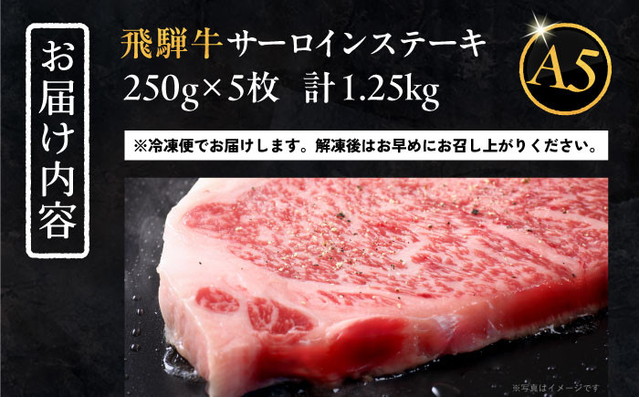 飛騨牛 牛肉 和牛 お肉 国産 ステーキ 焼肉 BBQ サーロインステーキ 贈答 ギフト おすすめ 人気 岐阜県 恵那市