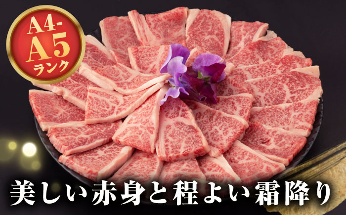 ステーキ 人気 和牛  長崎和牛 希少 柔らかい やわらかい 贈り物 ギフト