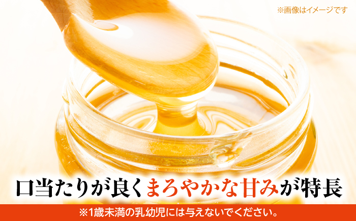 はちみつ 蜂蜜 ハチミツ ハニー honey 大容量 純粋 非加熱 国産 お取り寄せ グルメ 贈答 ギフト プレゼント