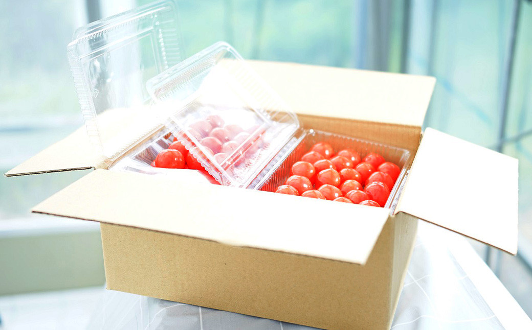 とすとすプレミアムファーム ミニトマト プチぷよ 1kg ｜ ミニトマト プチトマト トマト とまと 野菜