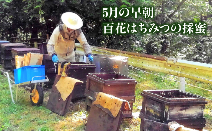 はちみつ 蜂蜜 ハチミツ ハニー honey 食べ比べ 2種類 大容量 純粋 非加熱 国産 お取り寄せ グルメ 贈答 ギフト 