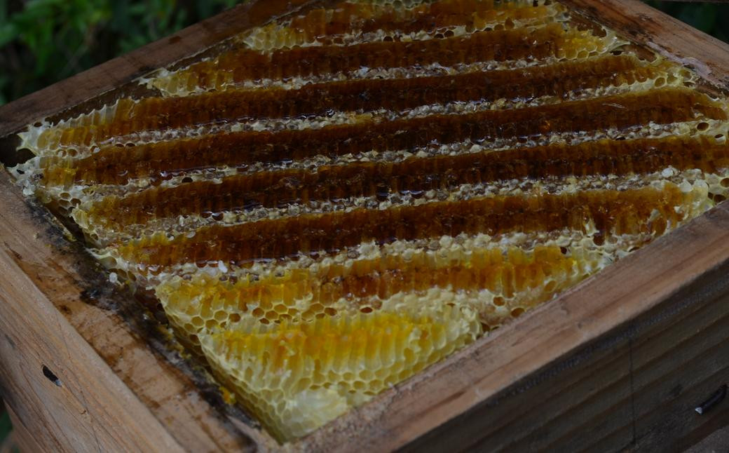 【数量限定】日本蜜蜂百花蜜 はちみつ (200g×1個) ・ 石けん (100g×2個) セット ハチミツ 