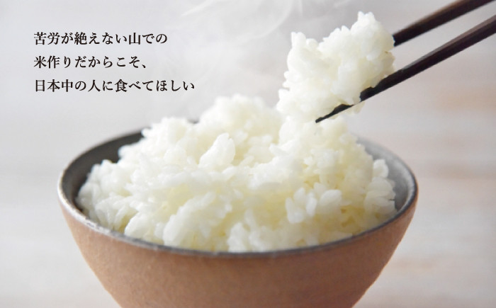 米粒一つ一つがしっかり立ち、噛むと適度な甘さが感じられます