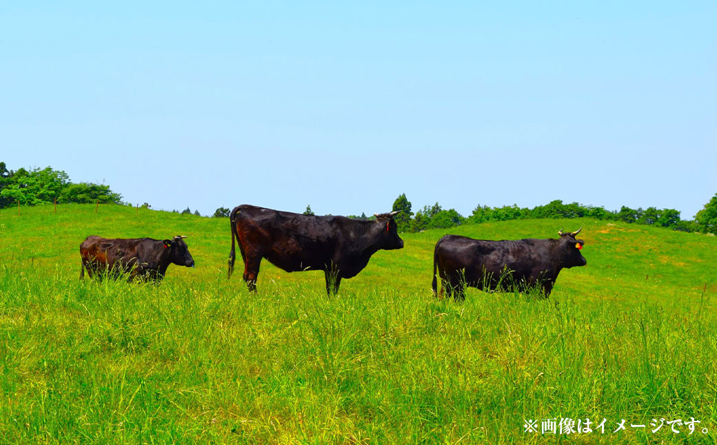 遠州夢咲牛 ロースステーキ用 約400g×1枚 【ブランド牛】 ｜お肉 肉 牛肉 和牛 ブランド牛 ステーキ ロース 冷蔵 国産