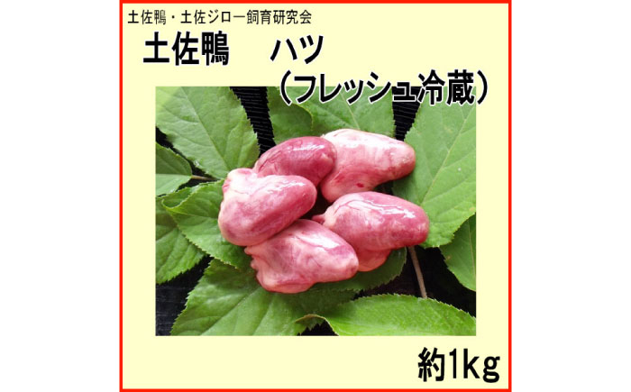 土佐鴨 ハツ (フレッシュ冷蔵) 約1kg 土佐鴨 土佐ジロー飼育研究会 カモ かも 心臓