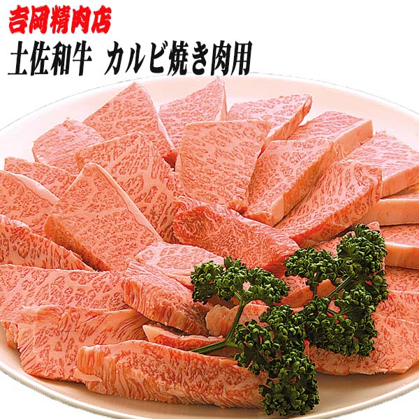 牛肉 肉 お肉 和牛 土佐和牛 国産 牛 赤身 高知 あかうし