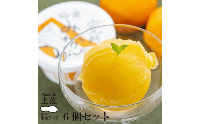高知アイス 完熟山北みかんシャーベット6個 ミカン Made in 土佐 完熟みかん〈2025年4月～発送〉 [ATAC383]