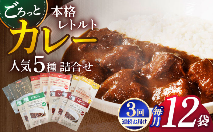 【カレー好きのためのアソートセット】カレー工房NVfoodsのカレー5種（12袋）詰め合わせセット 
