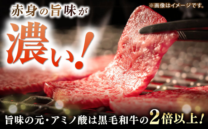 牛肉 肉 お肉 和牛 土佐和牛 国産 牛 赤身 高知 あかうし 焼肉