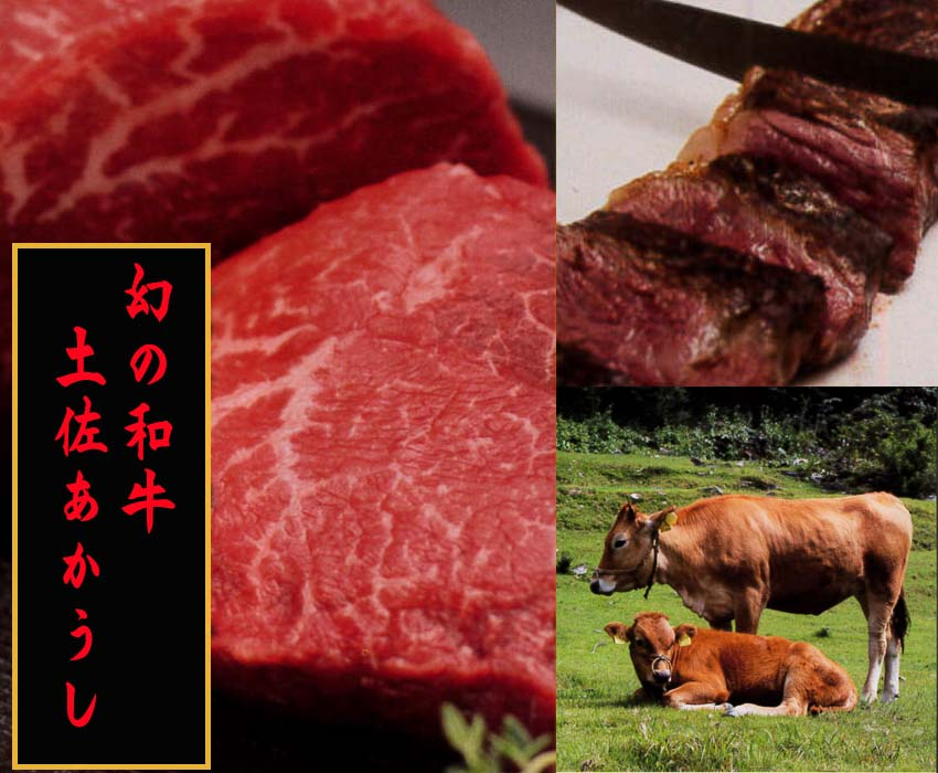 牛肉 肉 お肉 和牛 土佐和牛 国産 牛 赤身 高知 あかうし