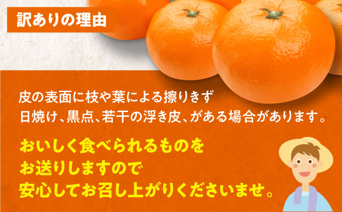 【ちょっと訳あり】温州みかん 愛媛県産 南柑20号 10kg