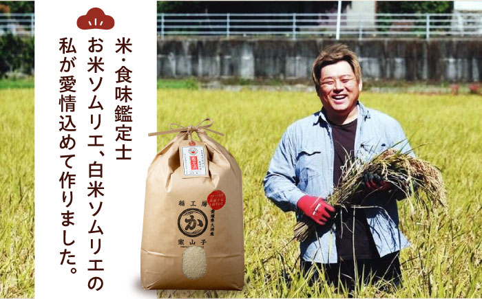 お米 にこまる 20kg（10kg×2袋）米・食味鑑定士×お米ソムリエ×白米ソムリエ