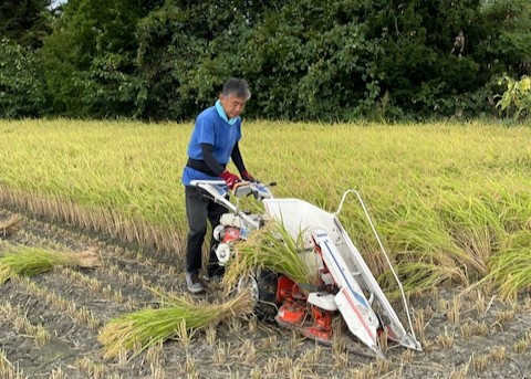 信州の恵み、松本市産のコシヒカリ